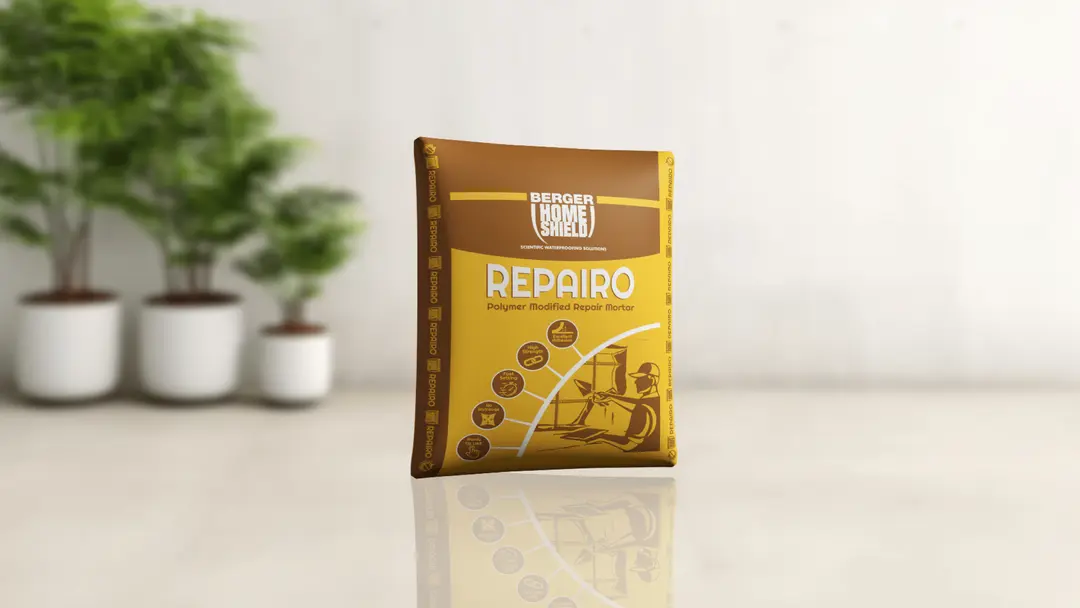 repario-min.png