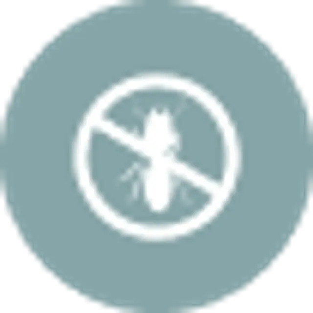 Property 1=BG (37).png