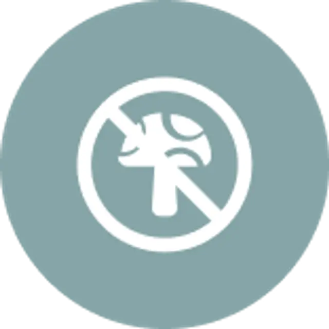 Anti Fungal Protection.png