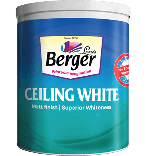 Ceiling White view 2
