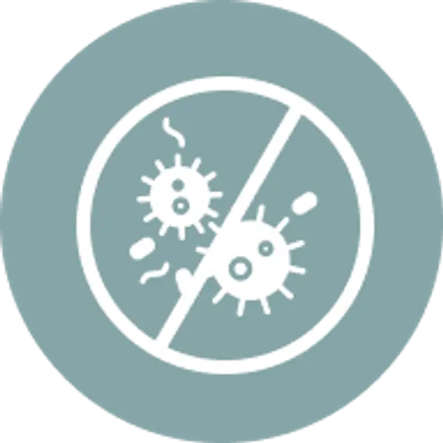 Antimicrobial Efficacy.png