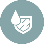 Protective Plaster Coat.png