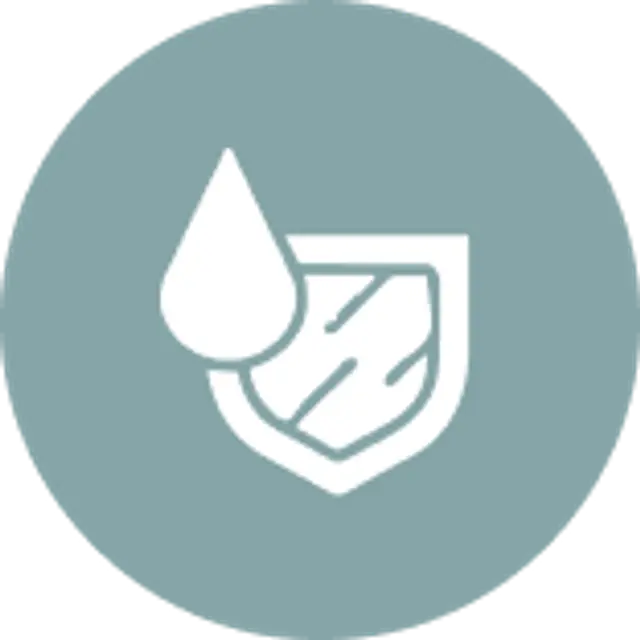 Protective Plaster Coat.png