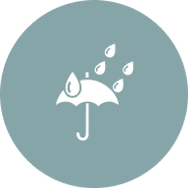 Silicon Protects Against Heavy Rainfall.png