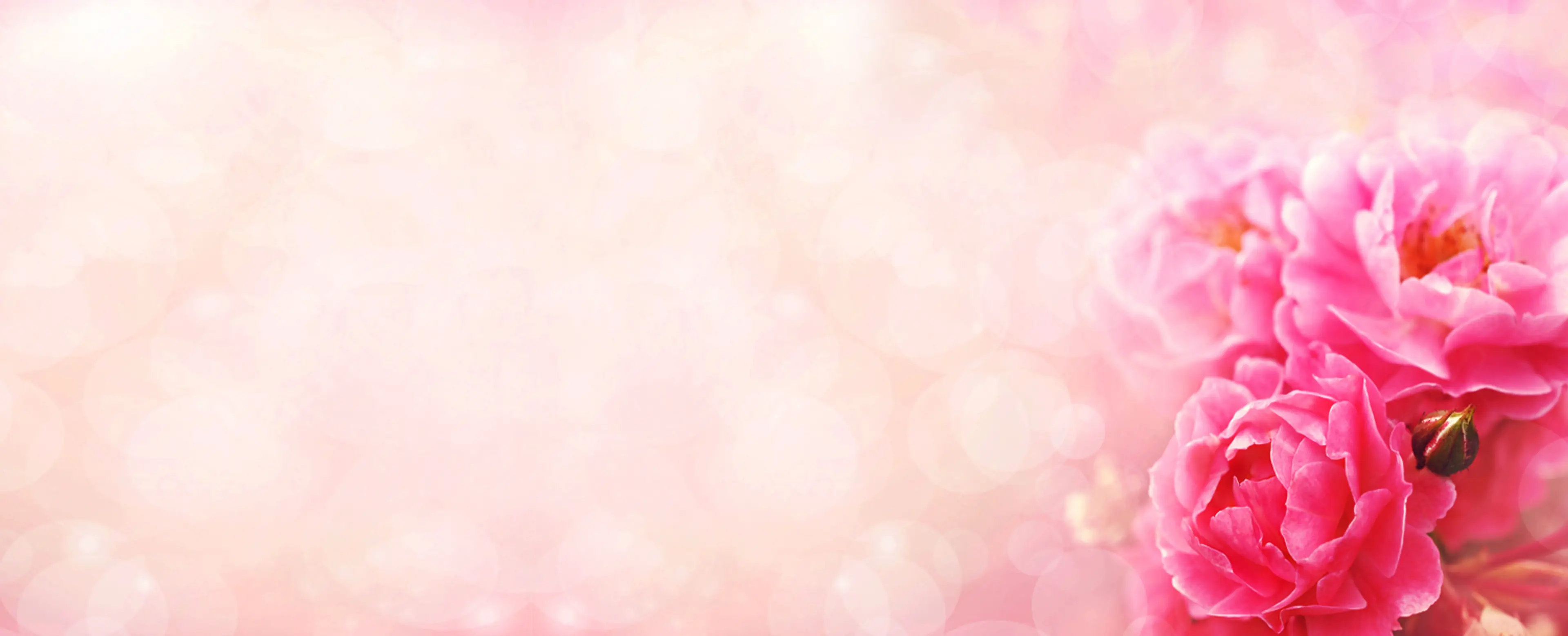 blog_image