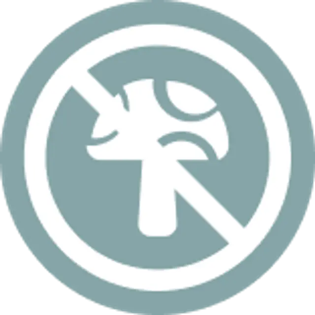 Anti Fungal Protection.png