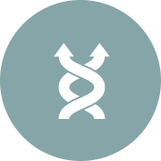 High Flexibility.png