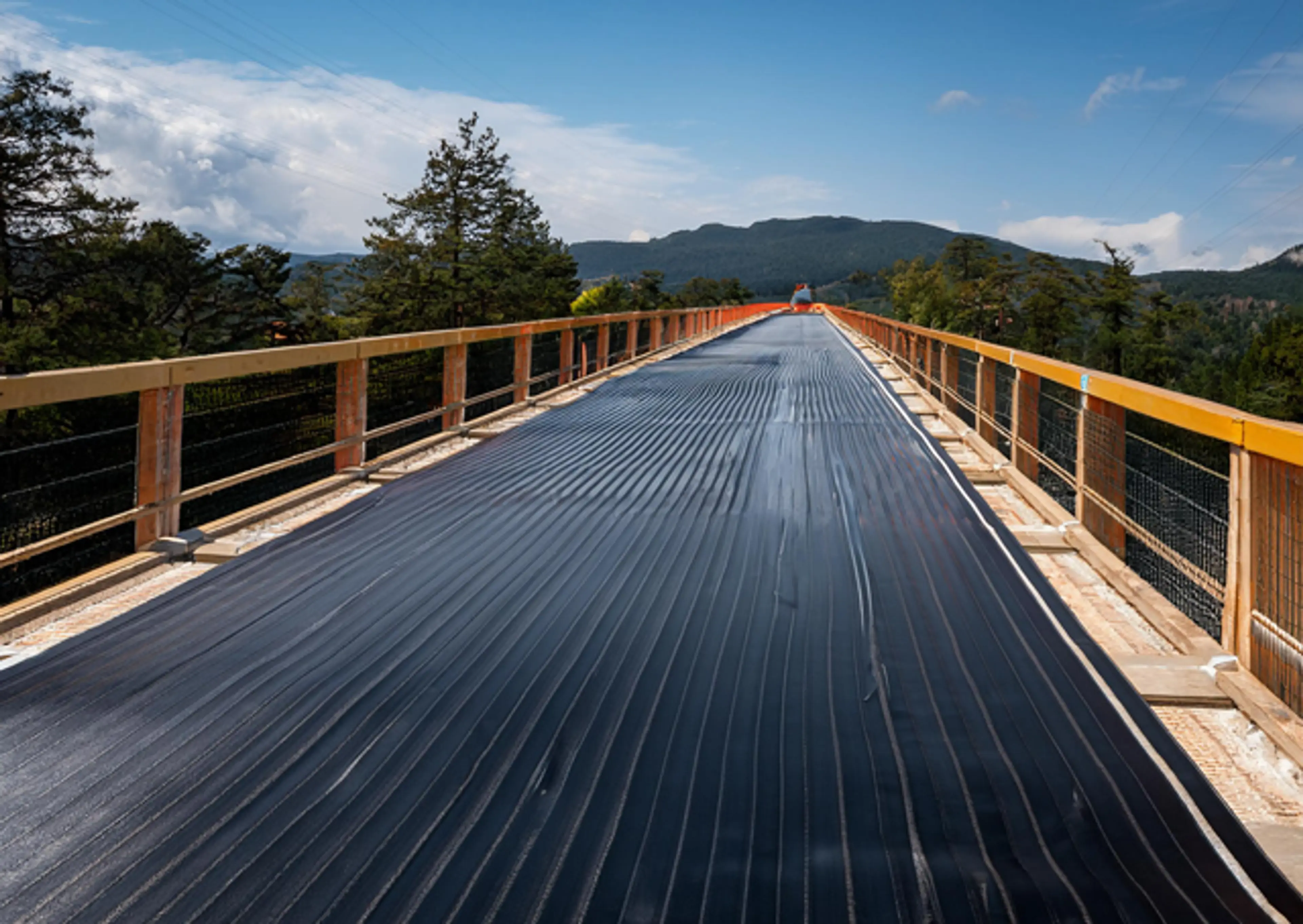 Bridge Waterproofing.png