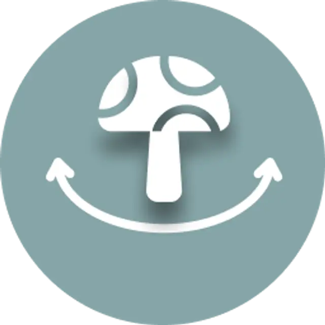 Group 1000004288 (1).png