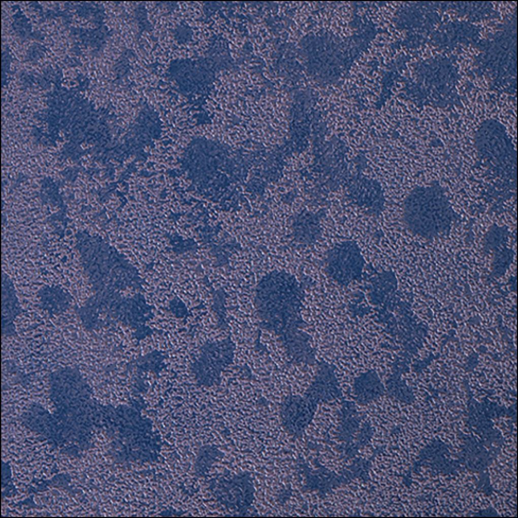 Deserta Indigo Oasis