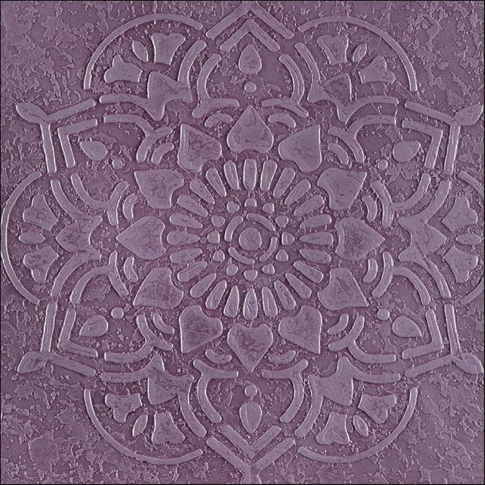 Mandela orchid bloom