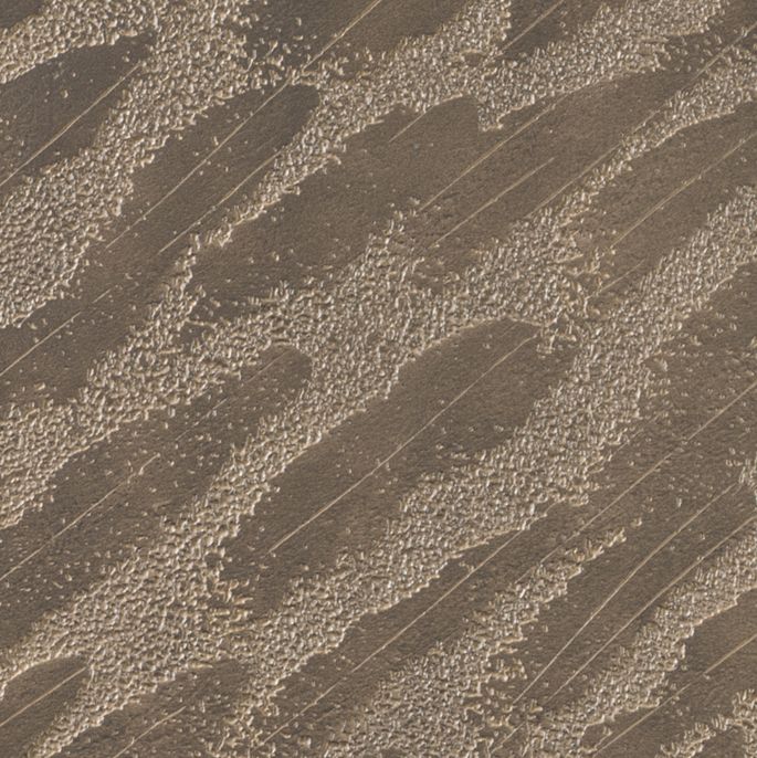 Terra mushroom brown