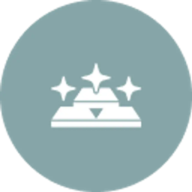 Lustrous Metallic Finish.png