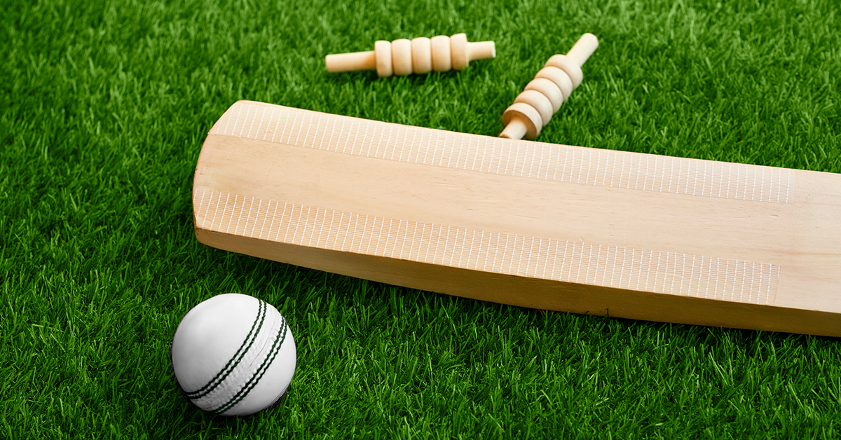 CRICKET-INSPIRED-ROOM-DECOR