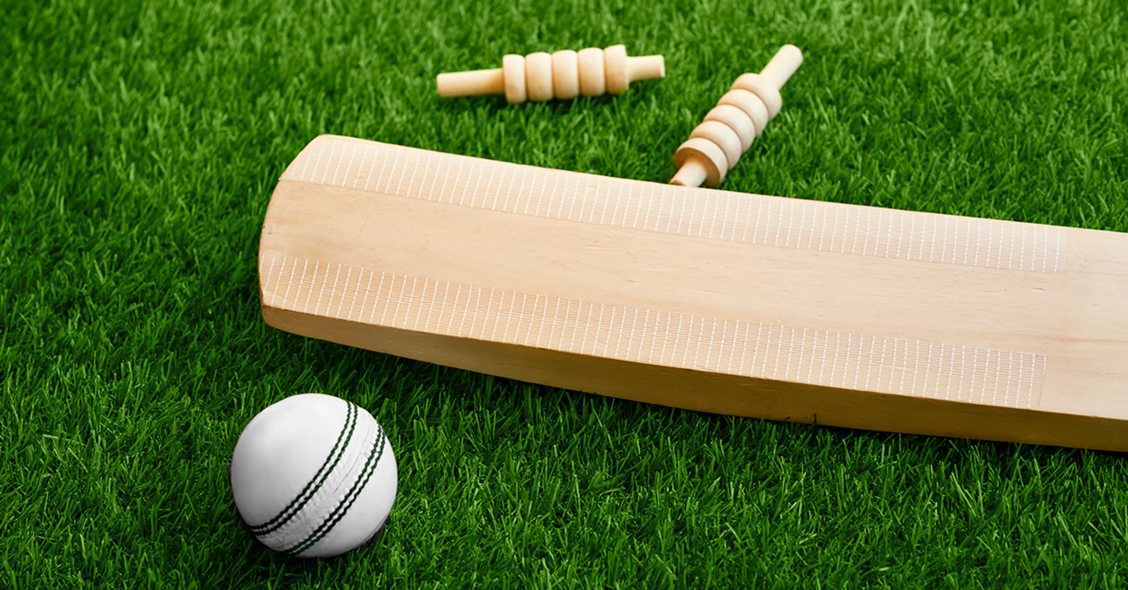 CRICKET-INSPIRED-ROOM-DECOR