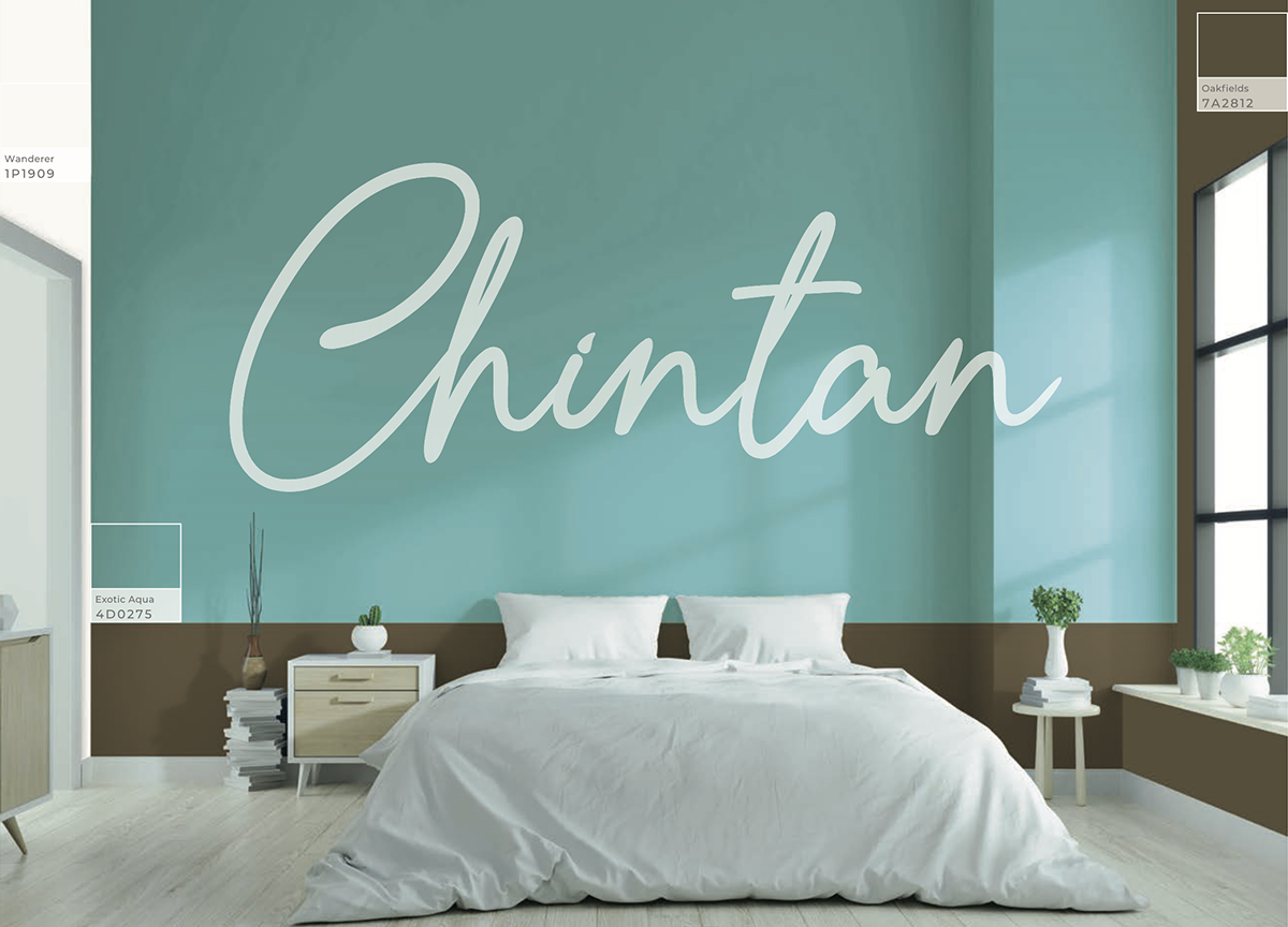 Chintan-wall-shade-name