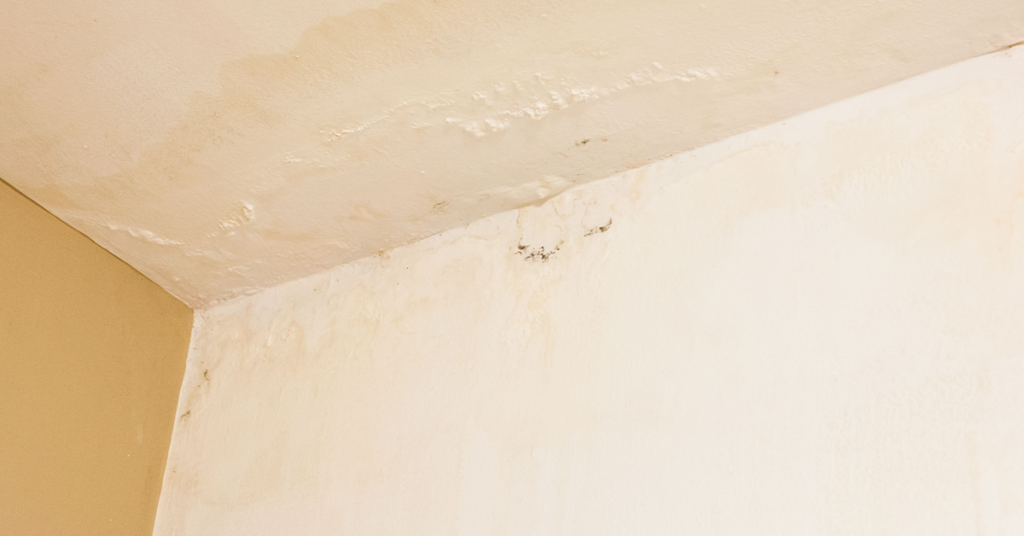 Damp-walls-in-the-room-1024x536