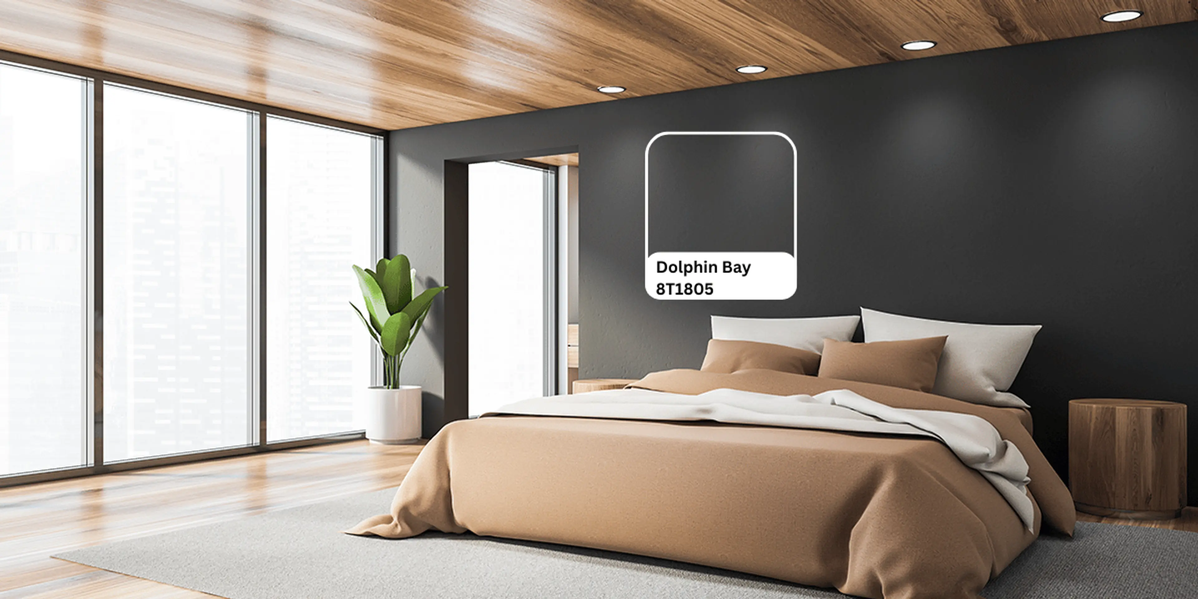 Charcoal Coloured Wall