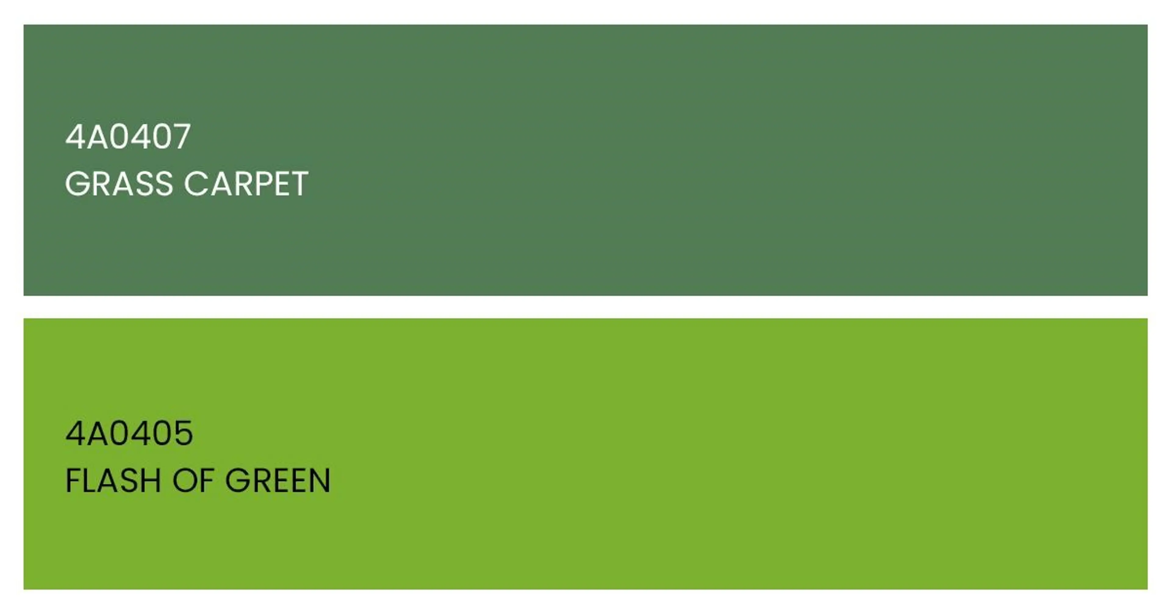 Grass-Carpet-and-Flash-of-Green