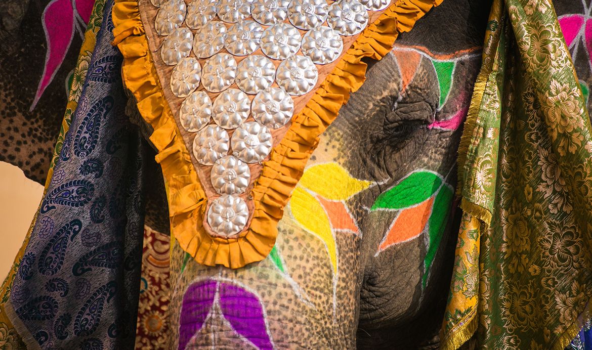 Jaipur-Elephant-Holi-or-Ele-Holi