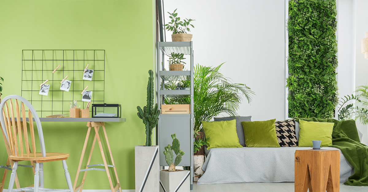 Lime-green-wall-in-the-room