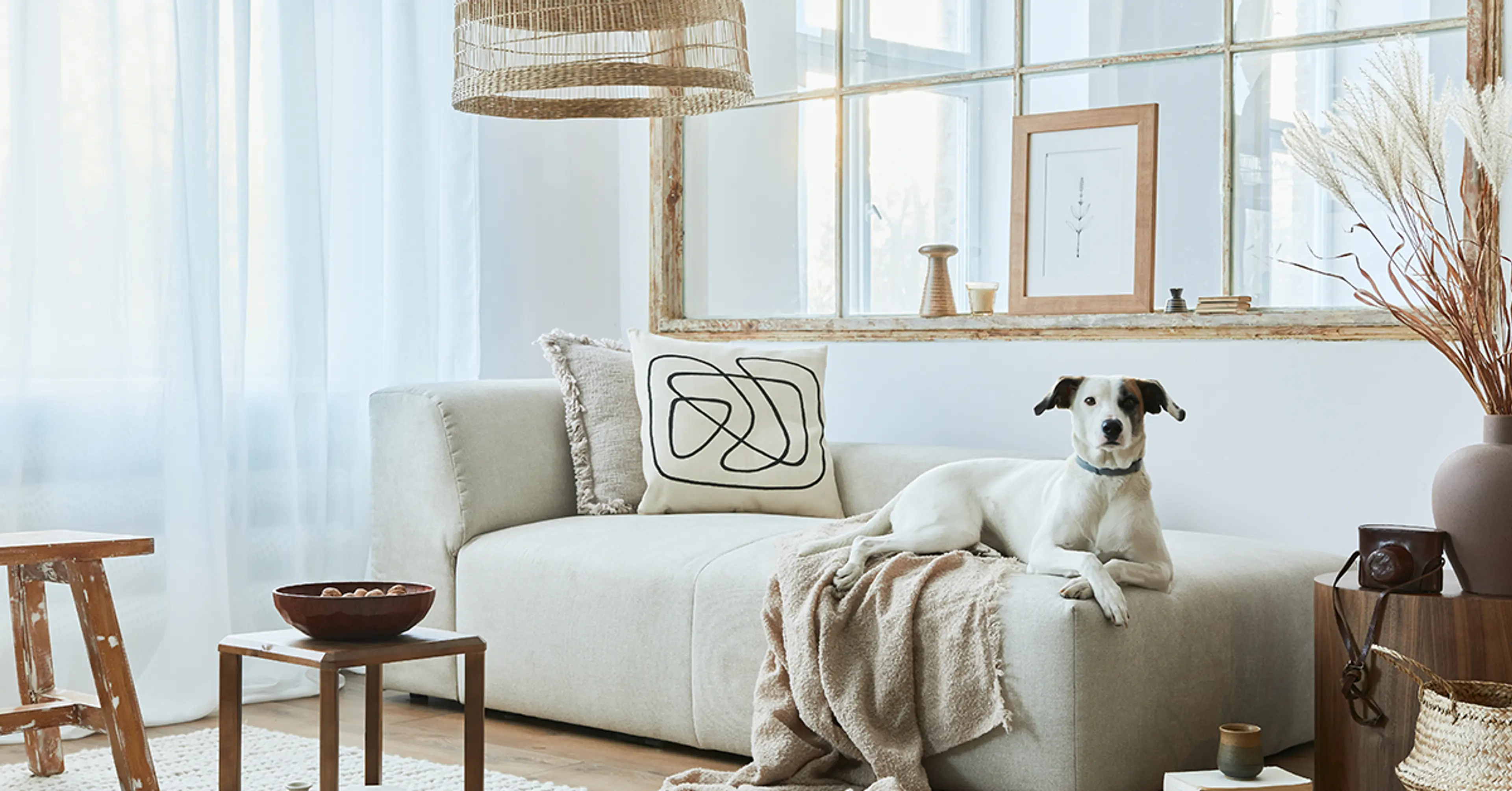 Lovely-upholstery-in-the-room