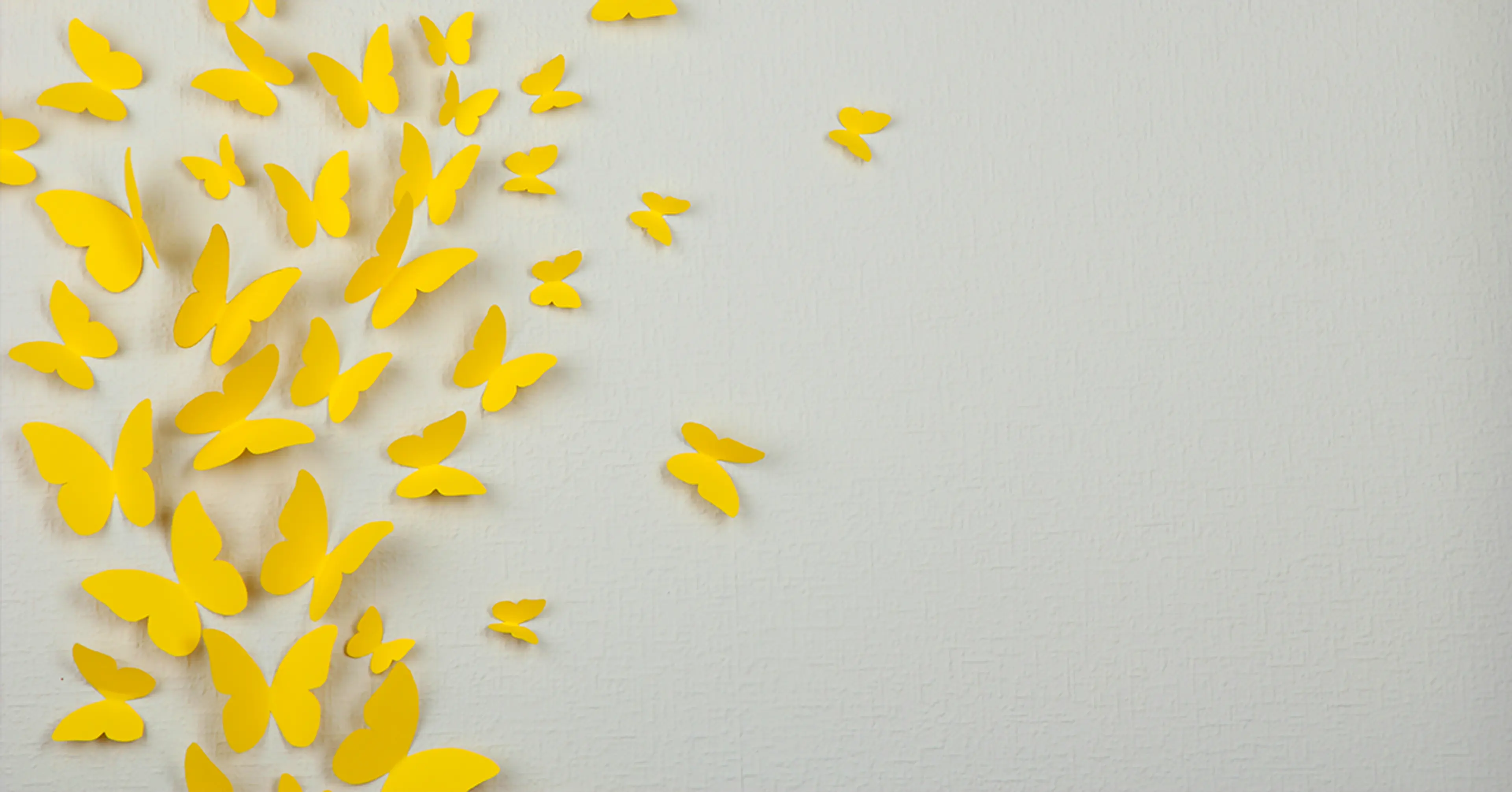 Origami-on-the-walls