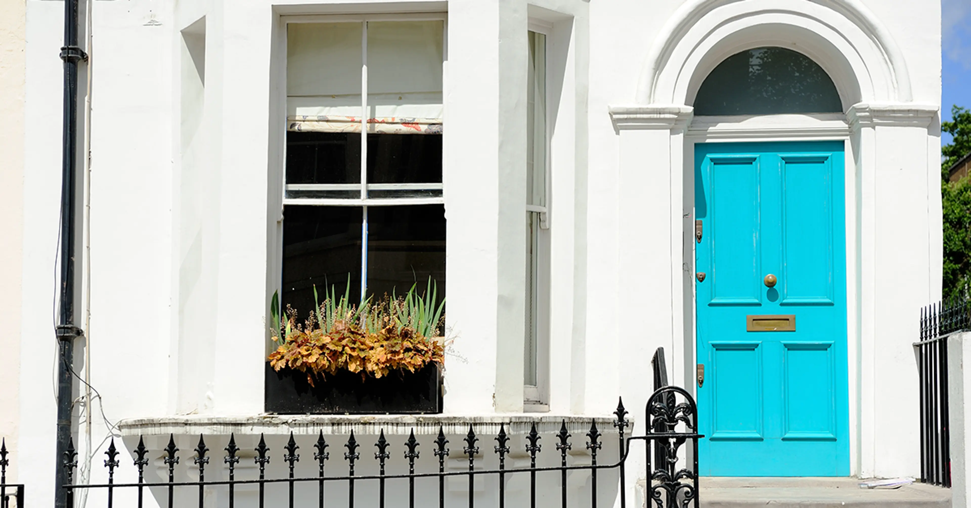 Paint-the-front-door