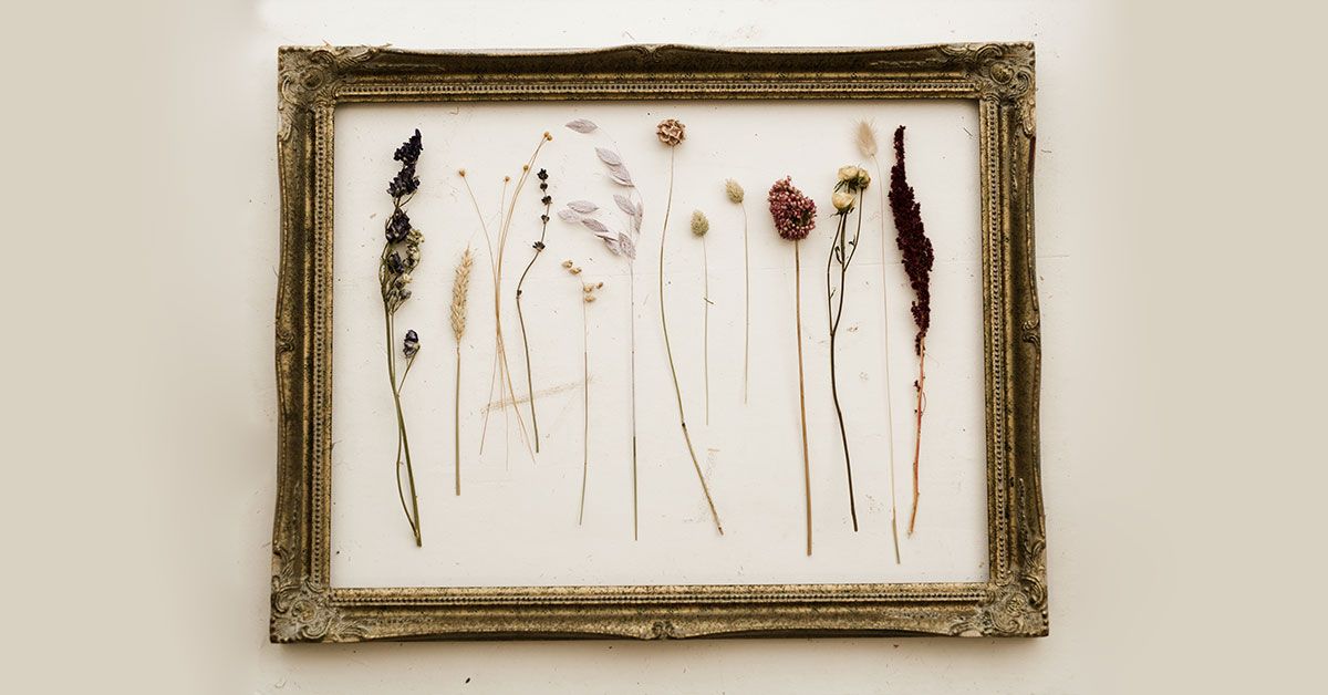 Pressed-Flower-Frame