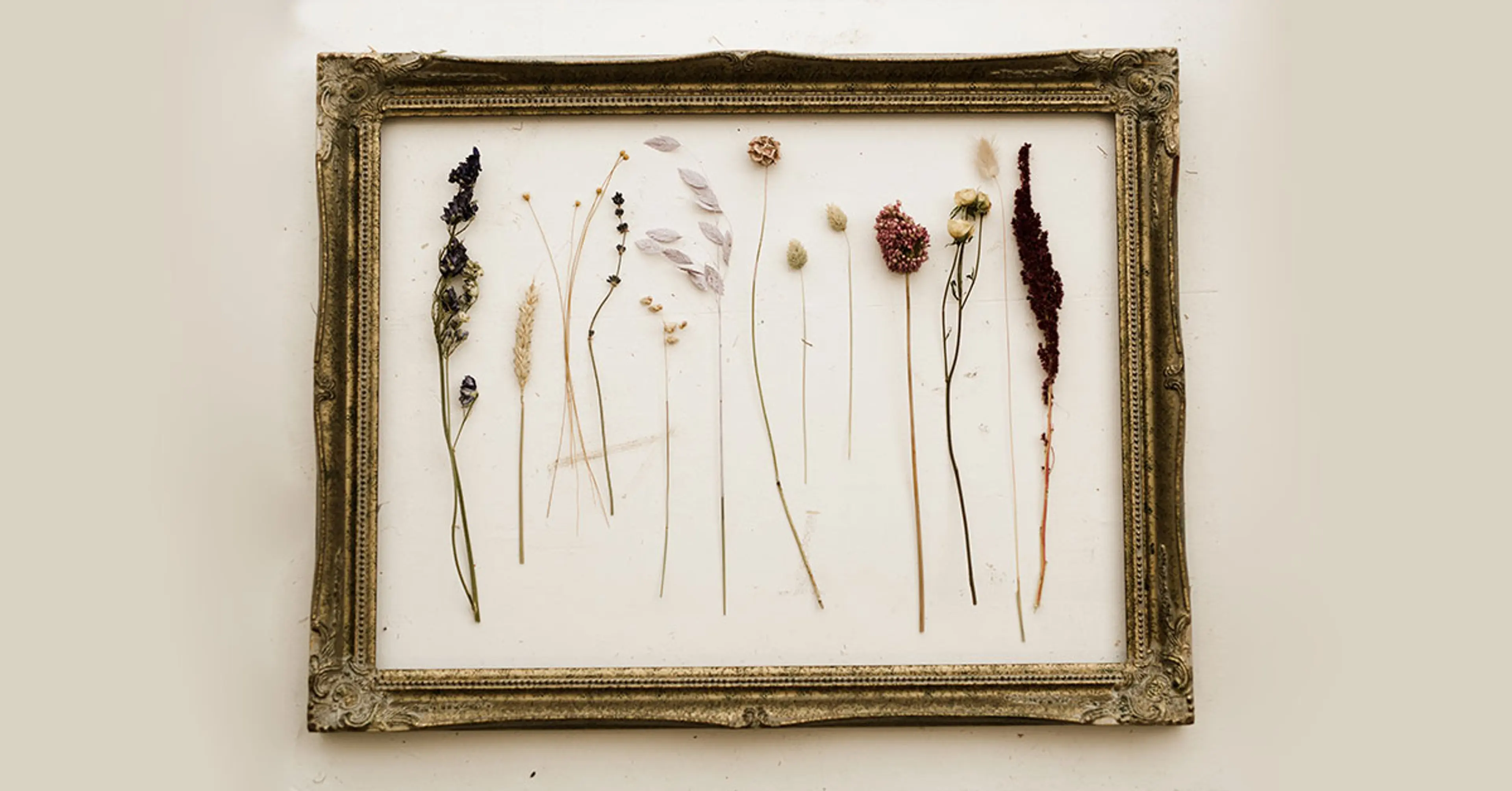 Pressed-Flower-Frame