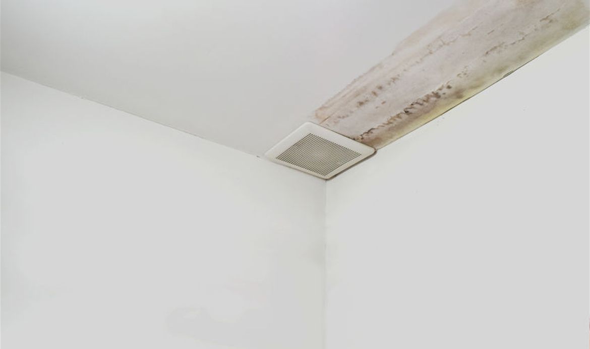 Seal-Leaks-and-Cracks