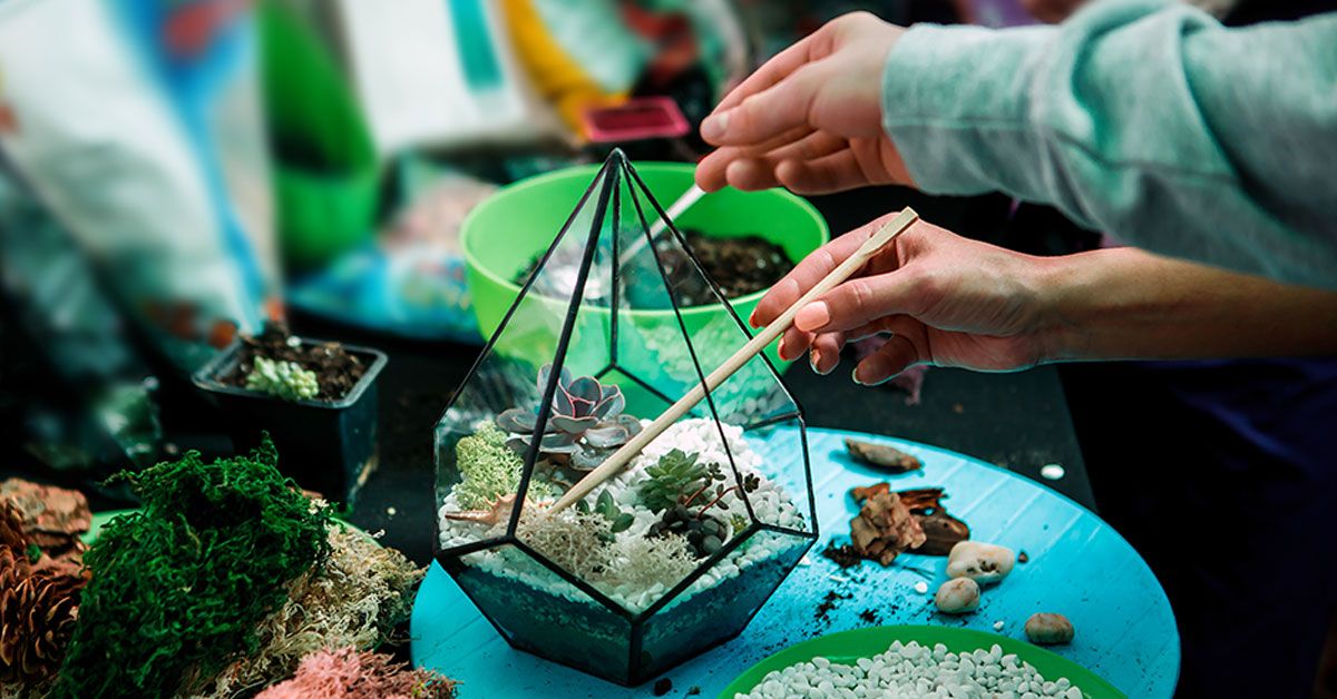 Succulents-Terrarium