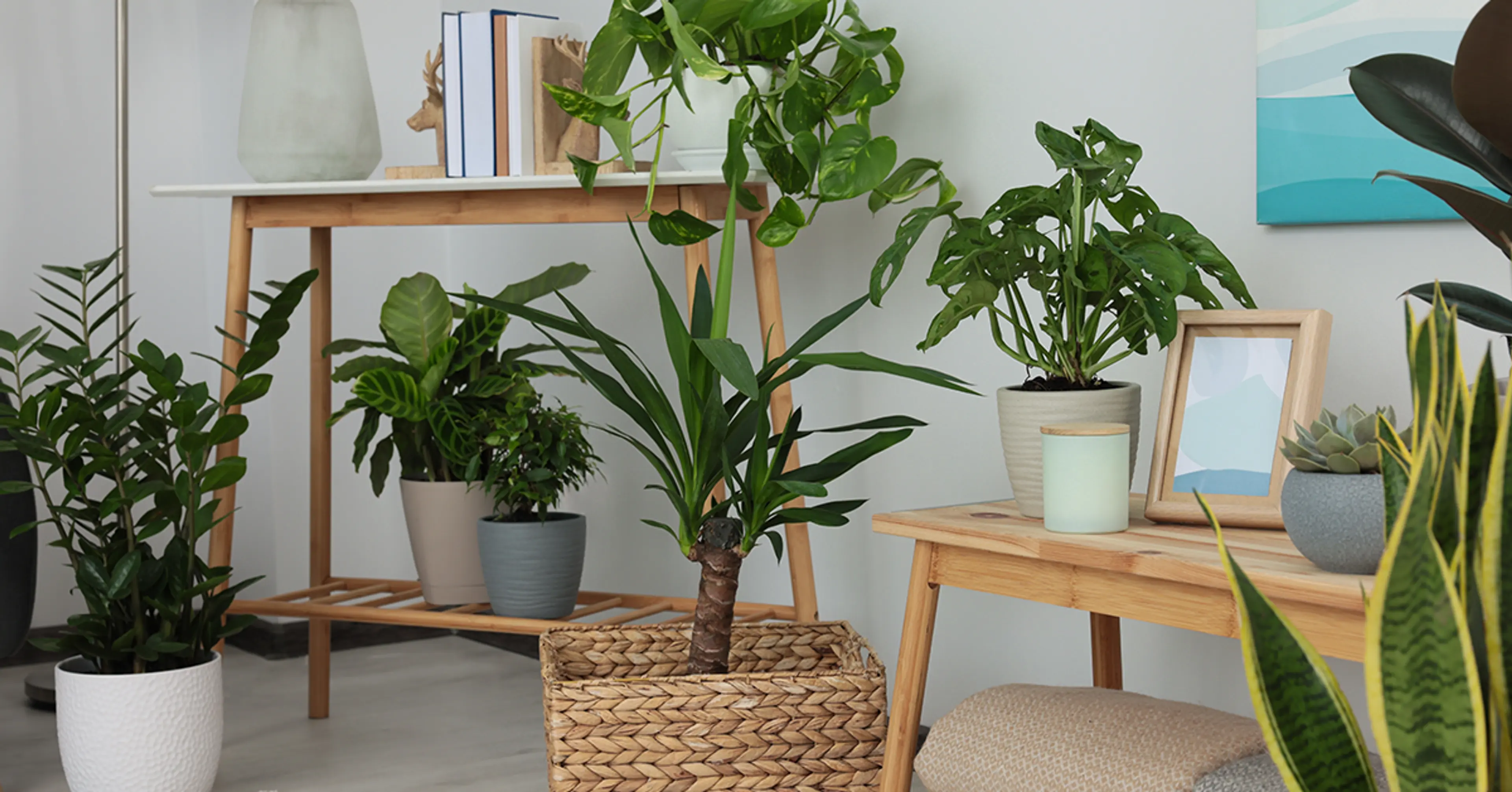 greenery-in-the-house