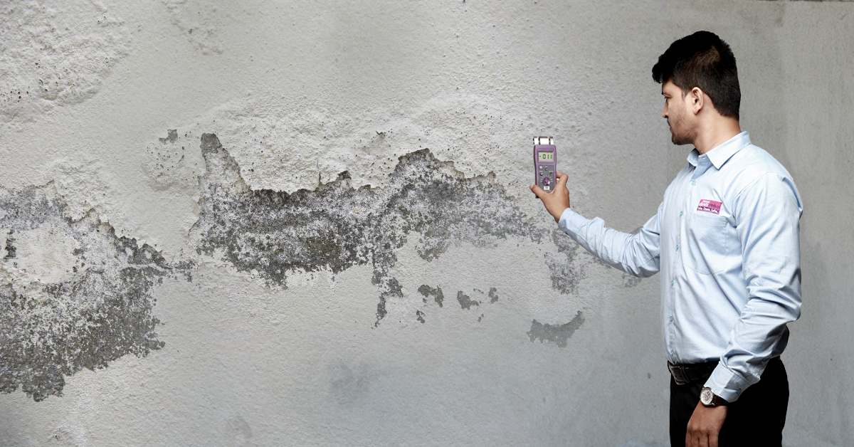 homeshield-waterproofing-experts