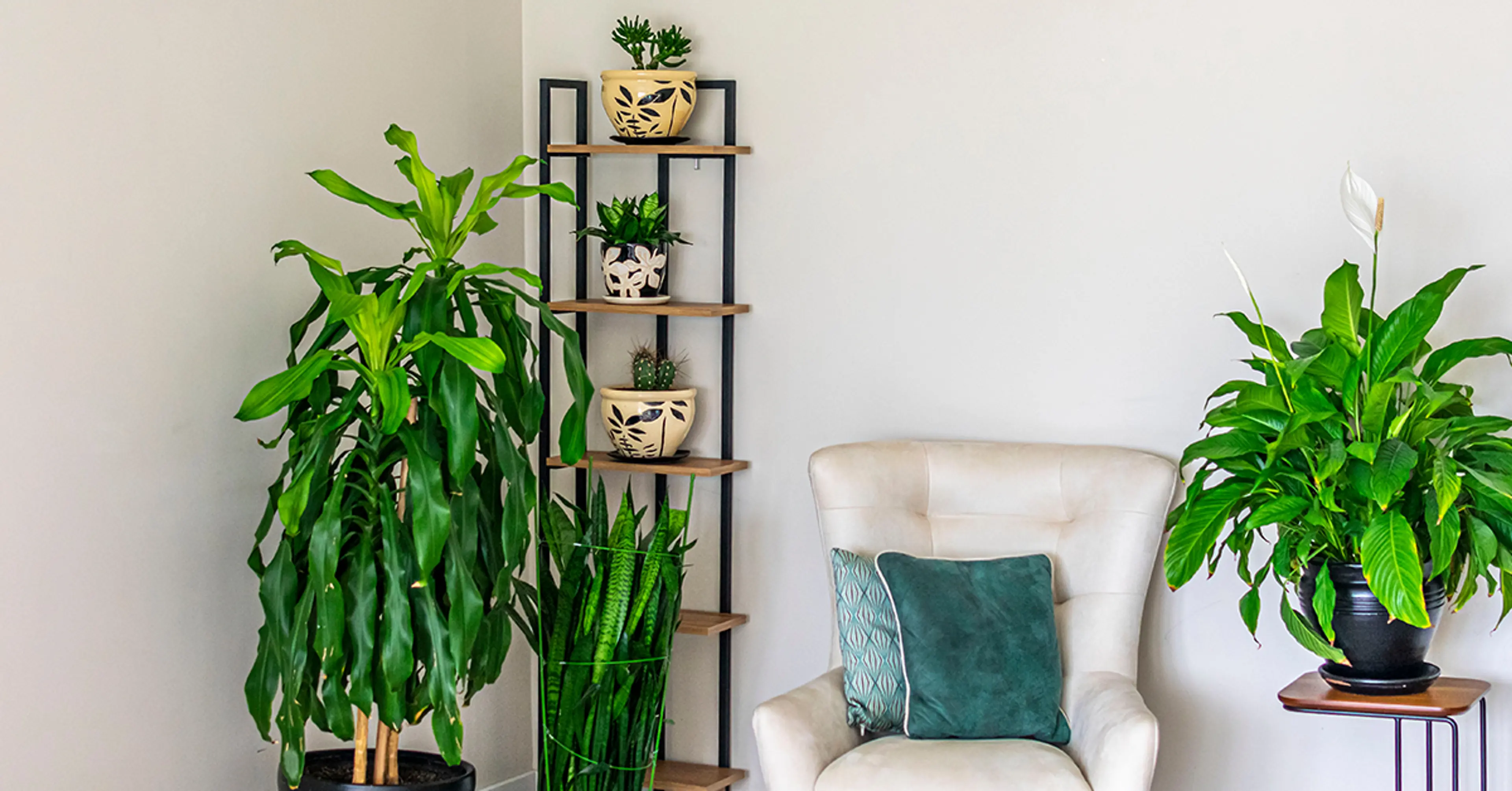 imaginative-theme-for-cosy-nook