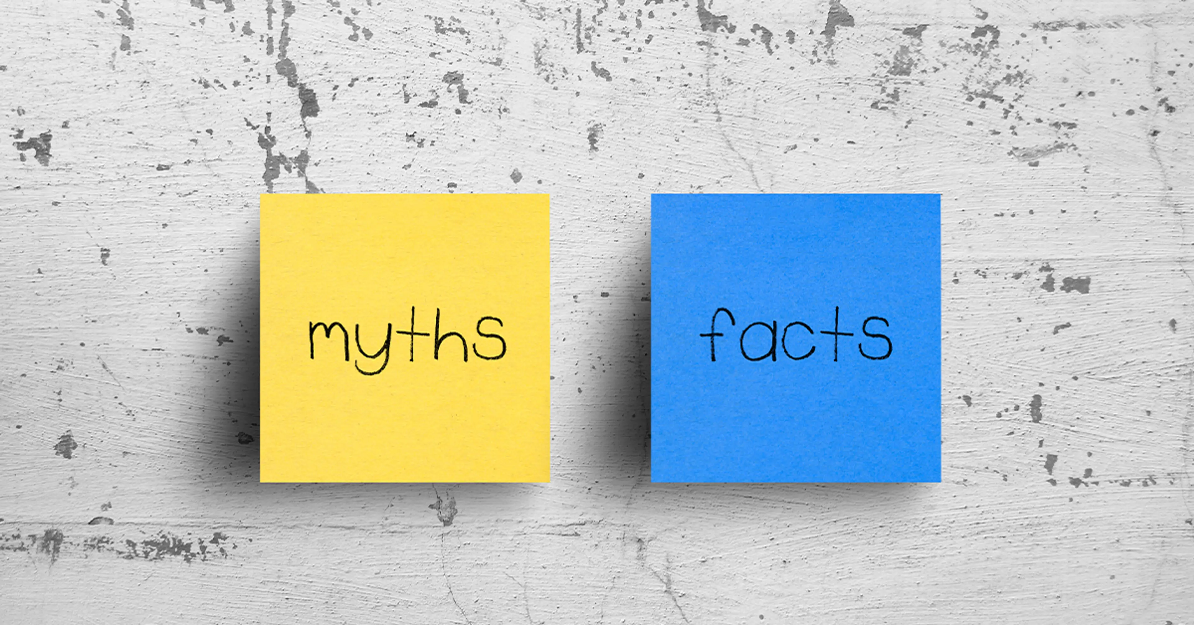 myths-and-facts-of-rising-dampness