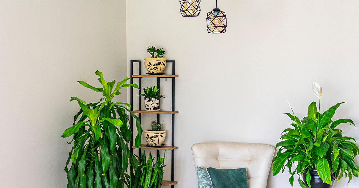 relaxing-nooks-in-the-home