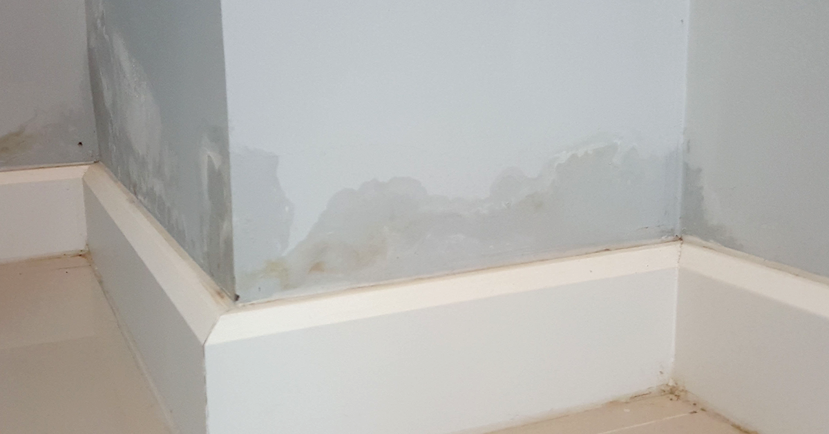 rising-dampness-visible-on-the-walls
