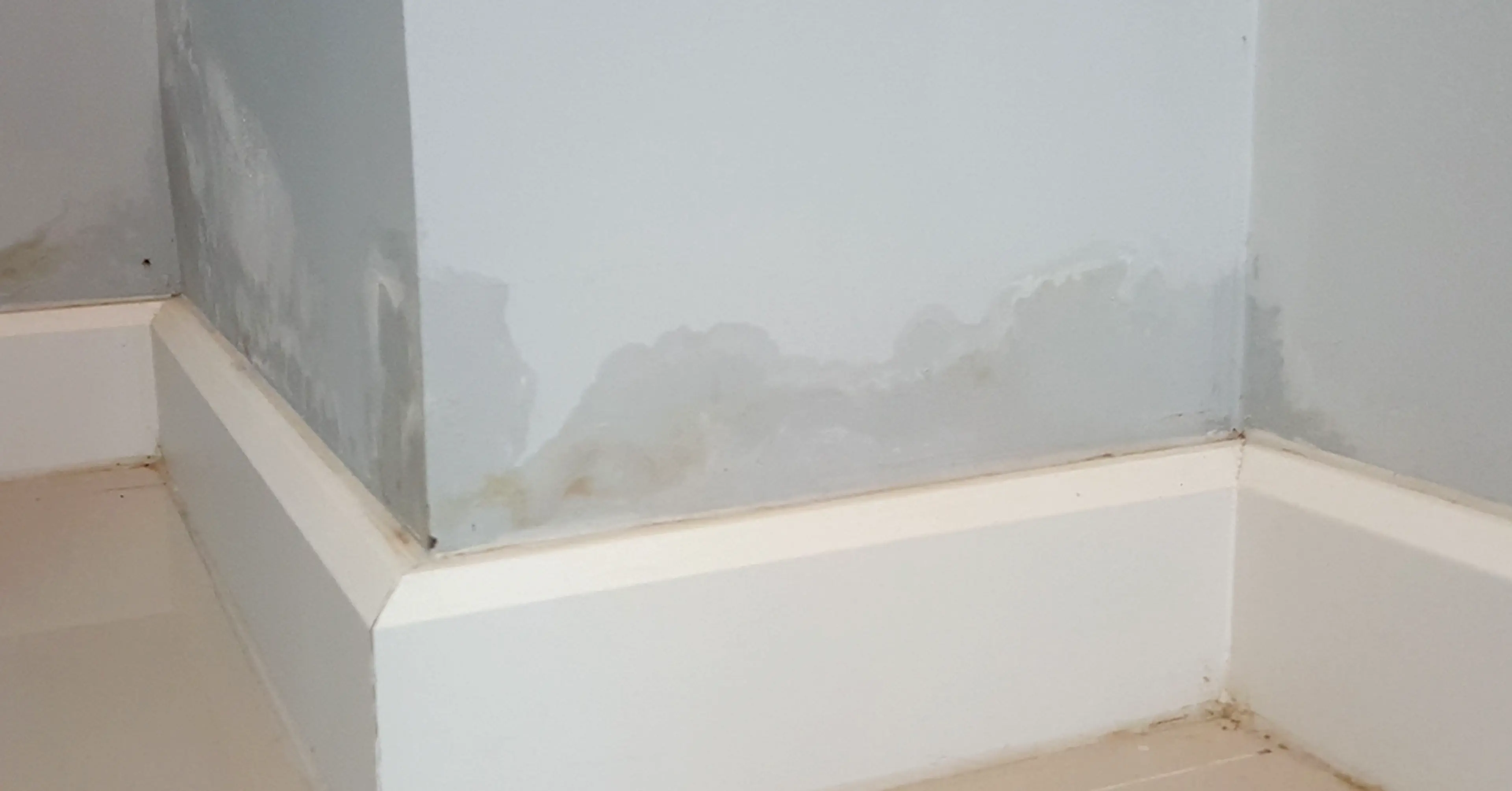 rising-dampness-visible-on-the-walls