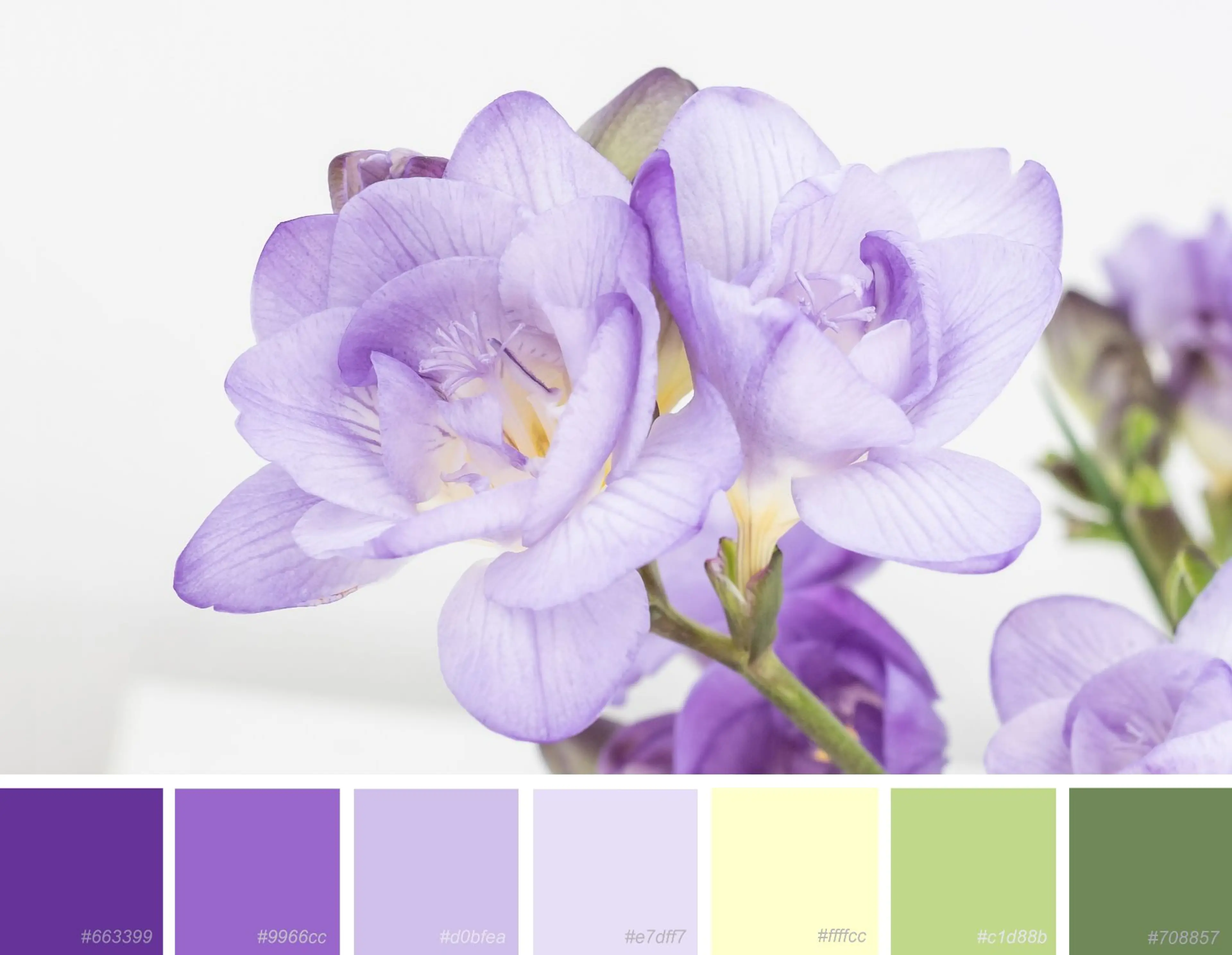 triadic-colour