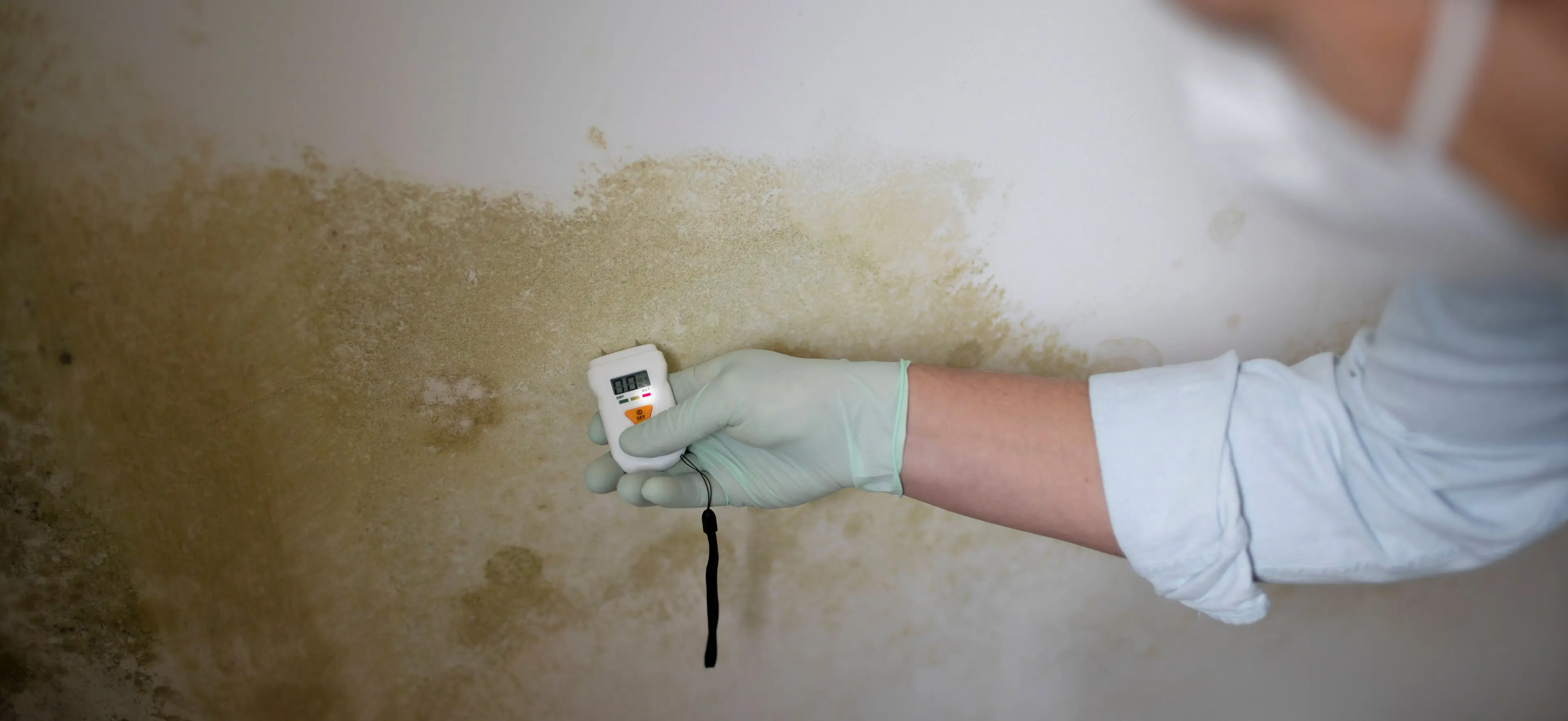liquid-watrerproofing