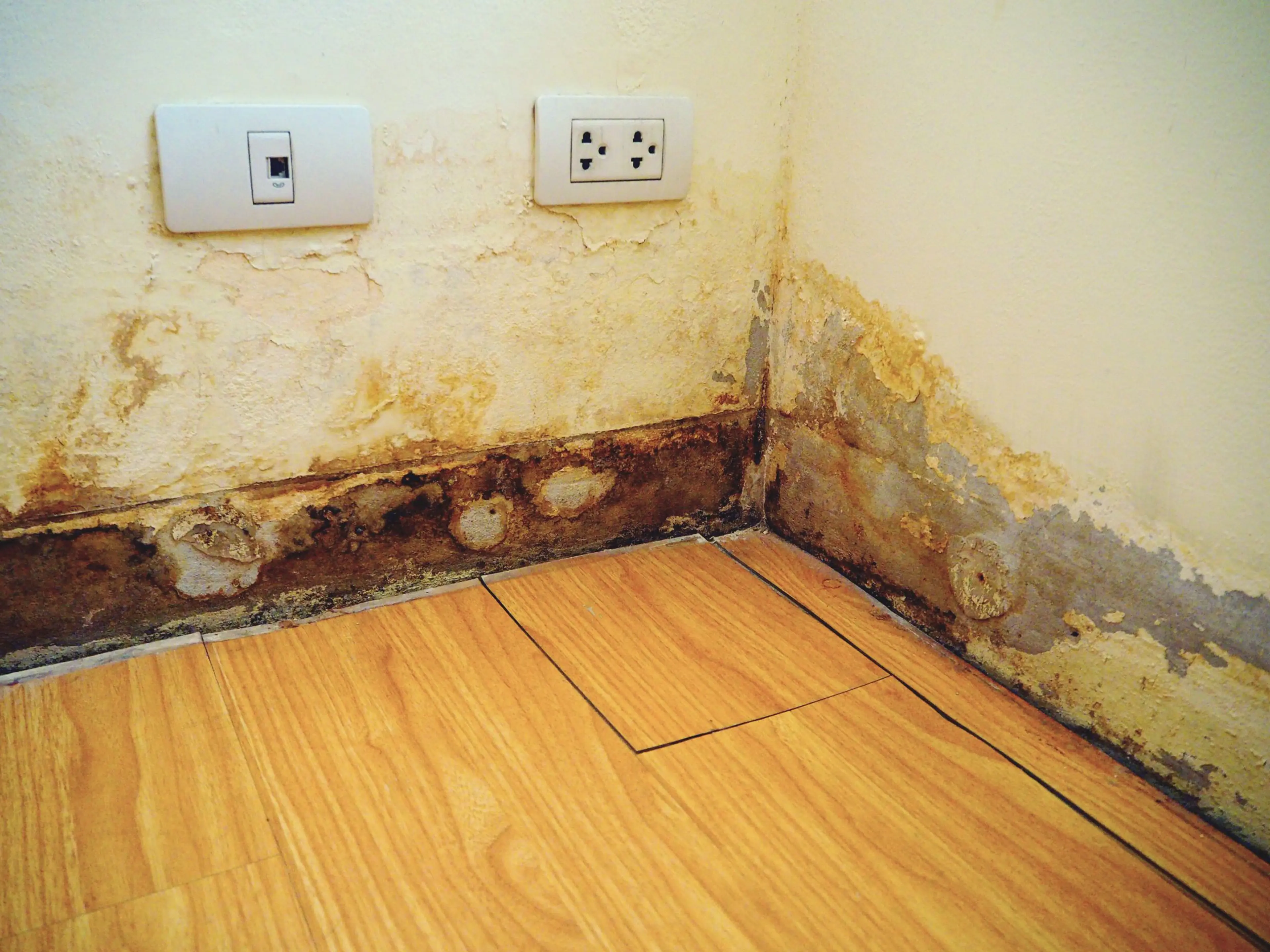 Post-Flood-Recovery