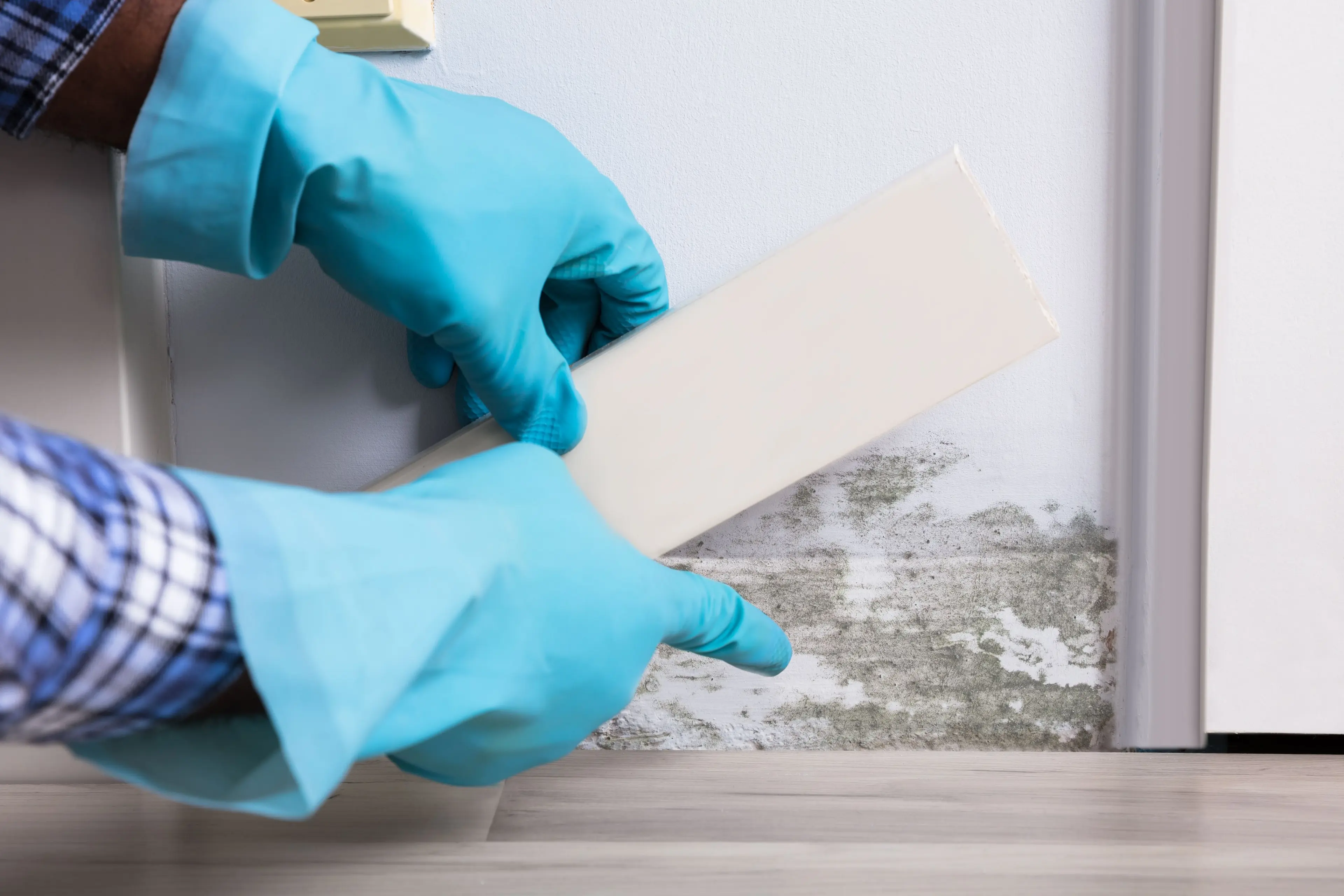 Inspection-of-Walls
