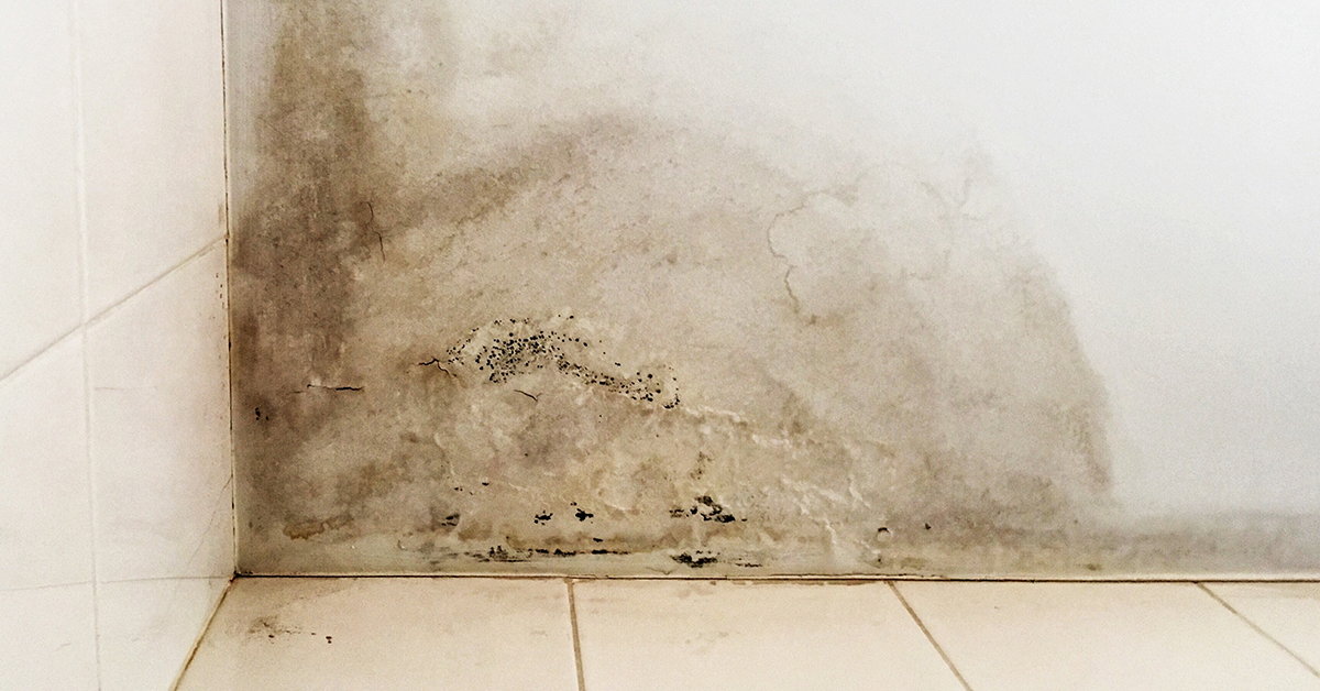 wall-damage-in-the-house