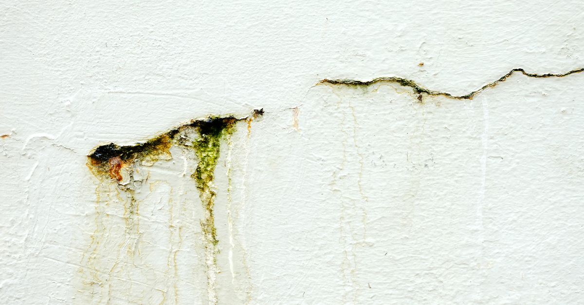 wall-leakage