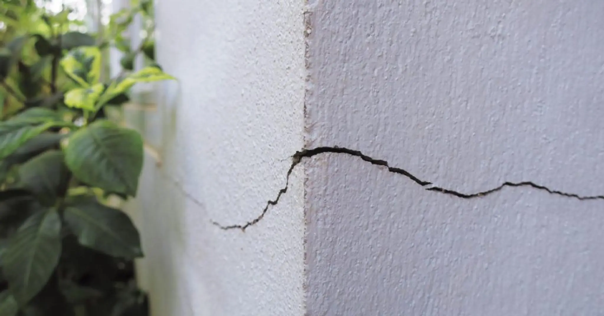 walls-for-faults-1024x536